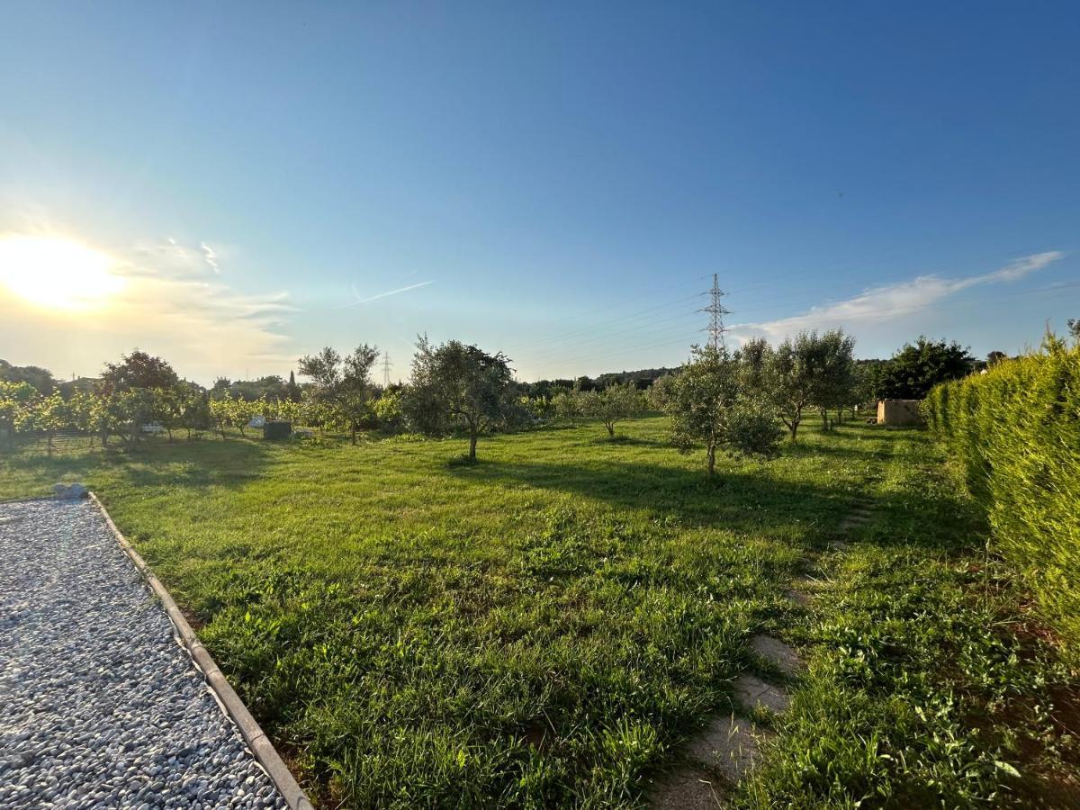 Villa Dora House With Wifi And Outdoor Swimming Pool Pola Esterno foto